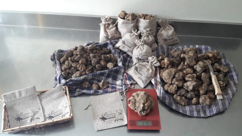 FRESCO: TARTUFO BIANCO - immagine 2